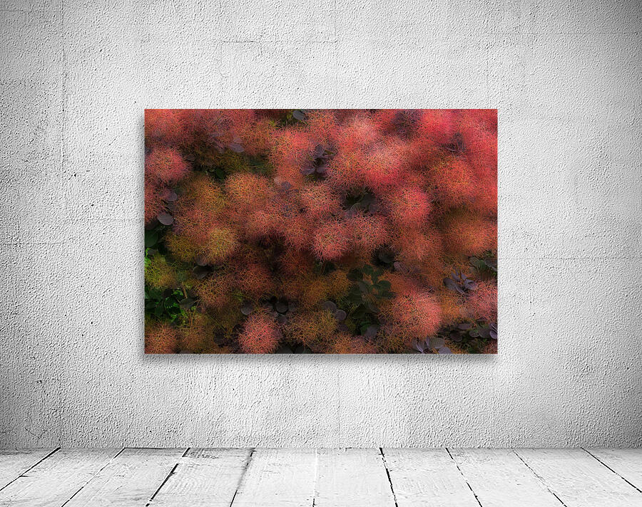 FLO 01777 Wall Preview