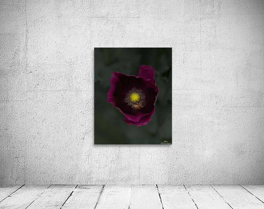 FLO 01799 Wall Preview