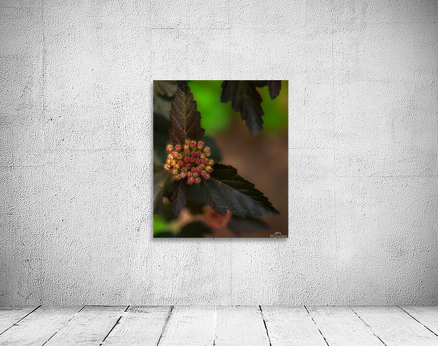 FLO 01769 Wall Preview