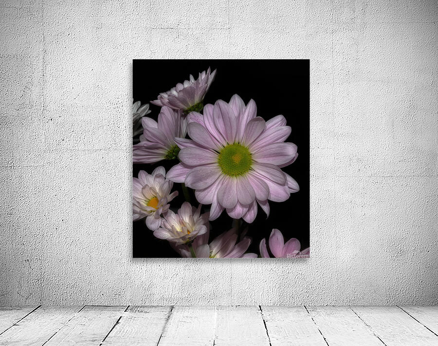 FLO 01761 Wall Preview