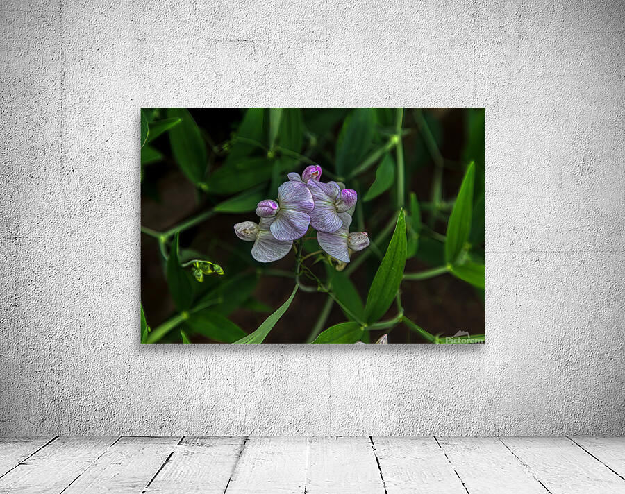 FLO 01778 Wall Preview