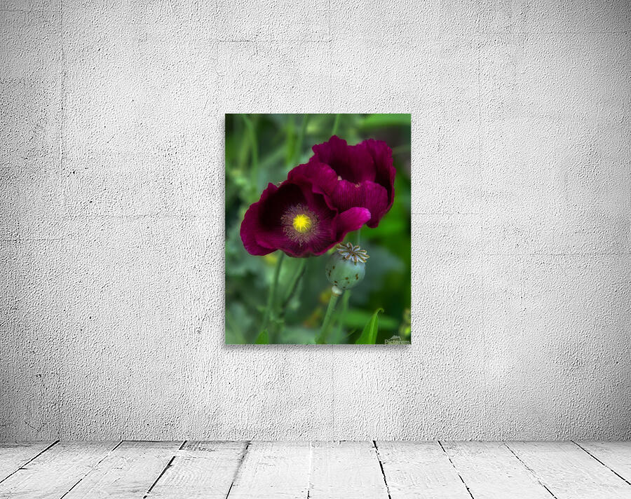 FLO 01779 Wall Preview