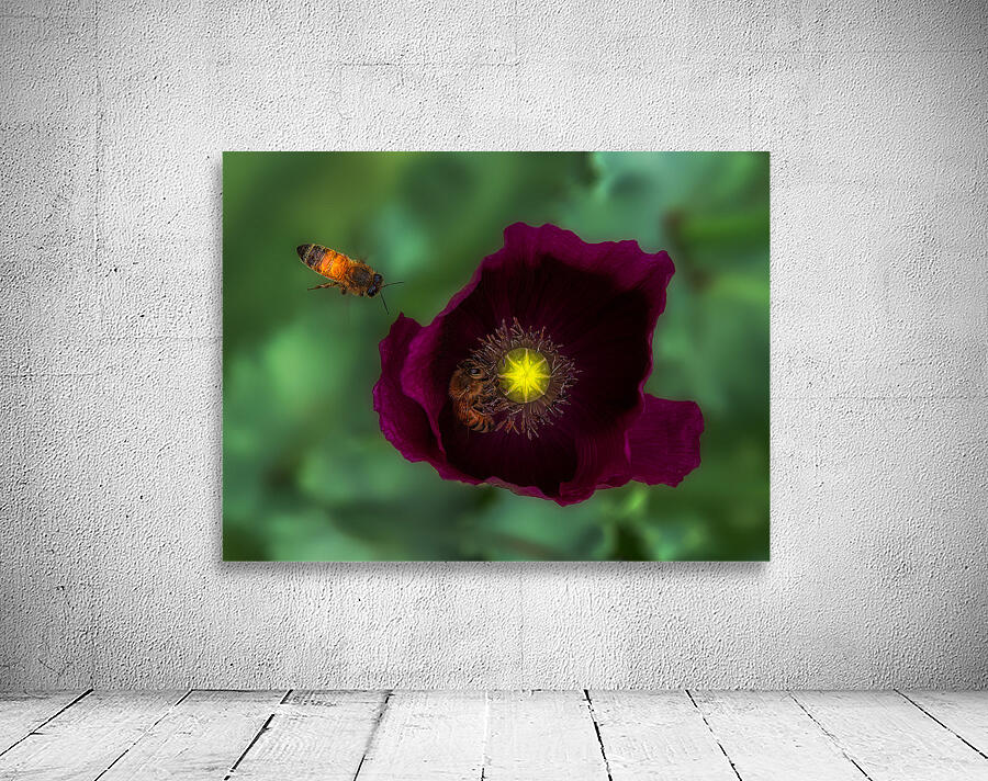 FLO 01797 Wall Preview