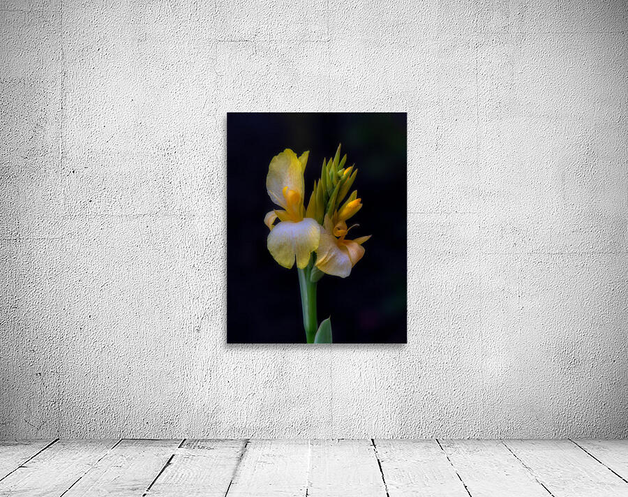 FLO 01803 Wall Preview