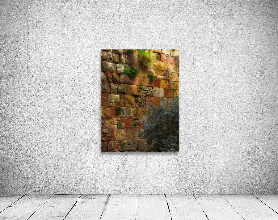 MIS 01925 Wall Preview