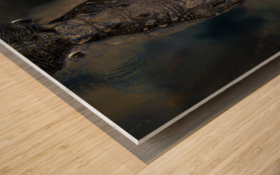 ANI 02189 Wood print