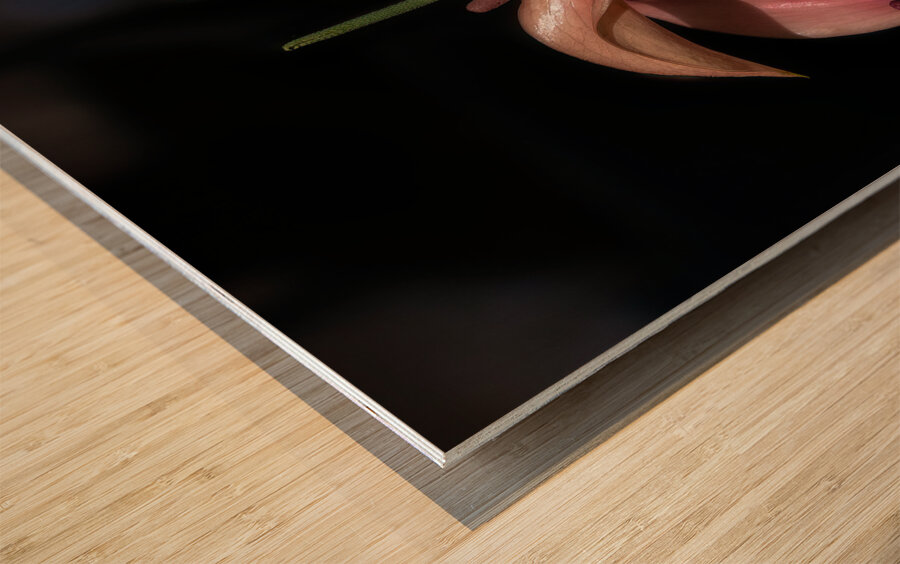 FLO 02286 Wood print