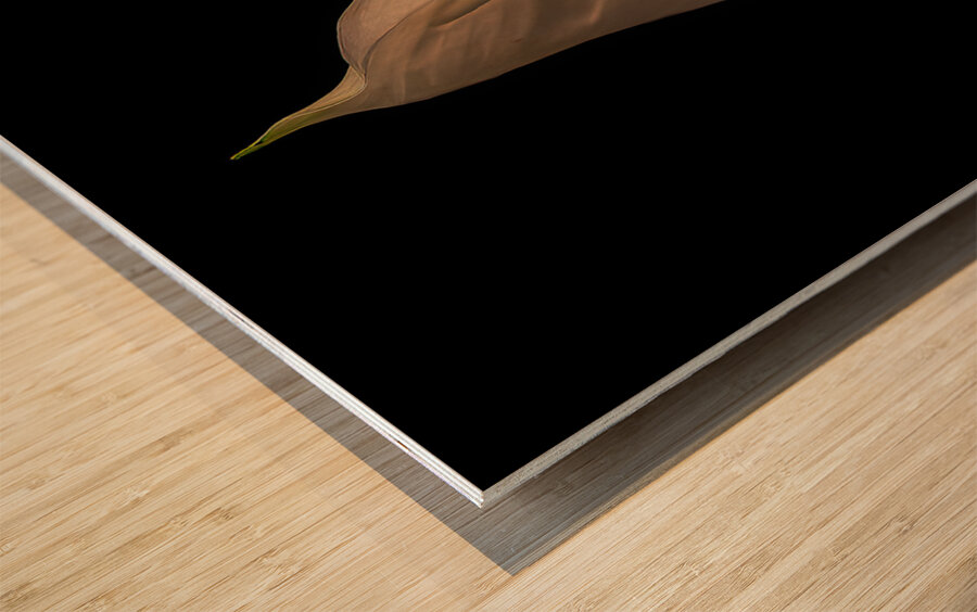 FLO 02218 Wood print