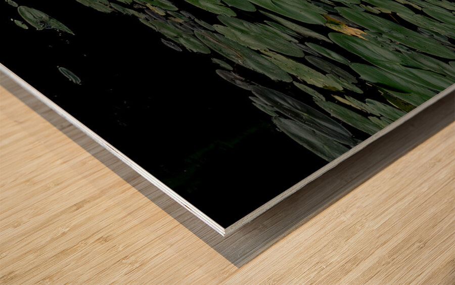 FLO 02302 Wood print