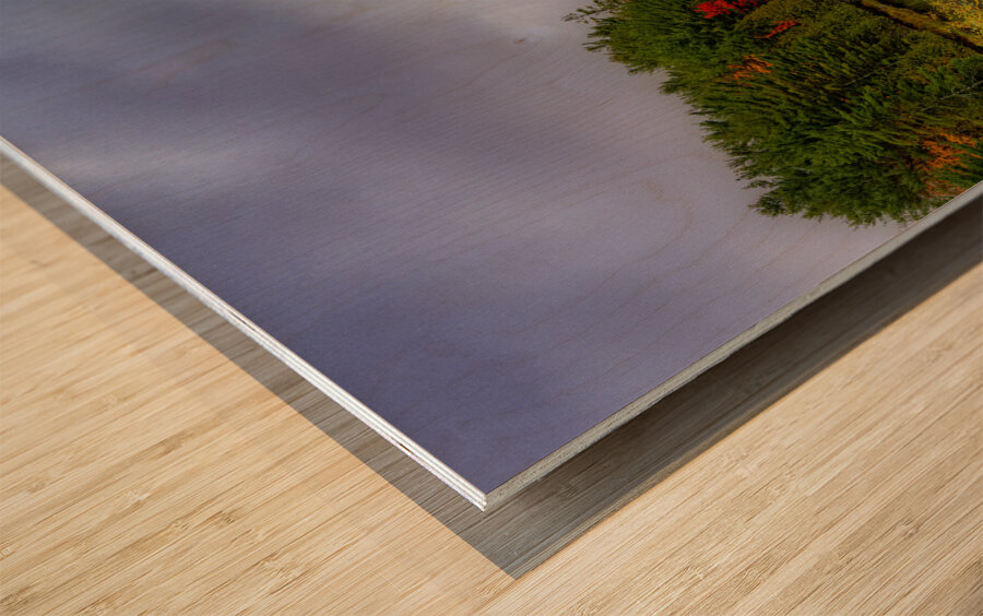 LAN 02321 Wood print