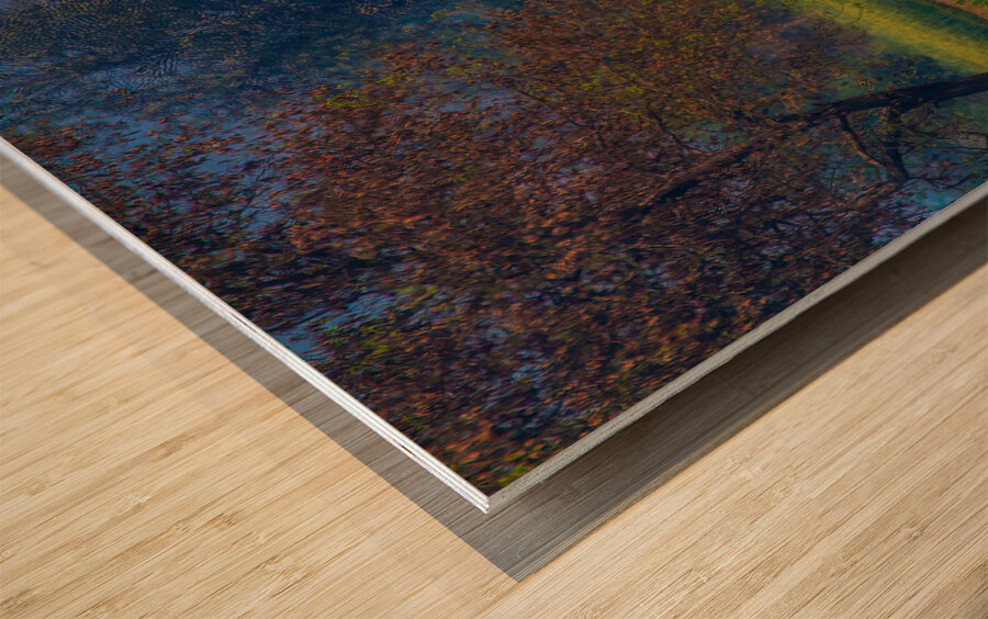 PEO 02368 Wood print