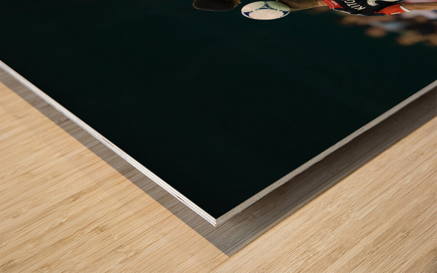 ACT 02344 Wood print