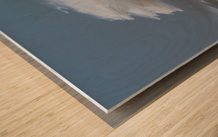 WAT 02334 Wood print