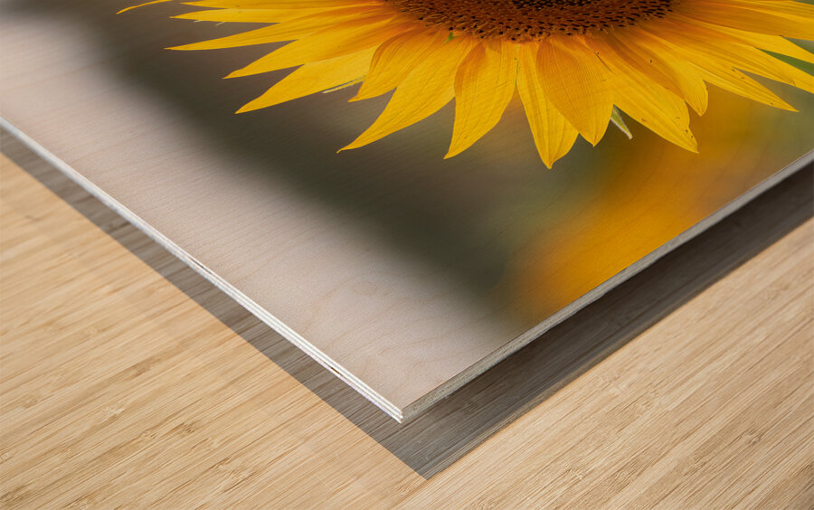 FLO 02580 Wood print