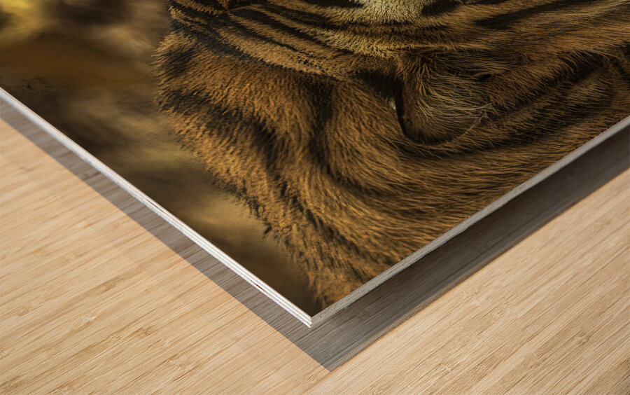ANI 00193 Wood print