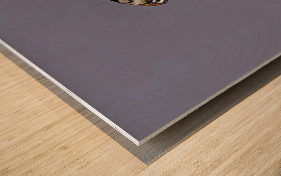 BIR 00276 Wood print