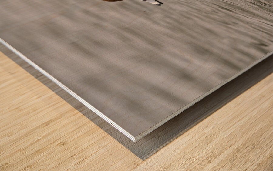 BIR 00287 Wood print