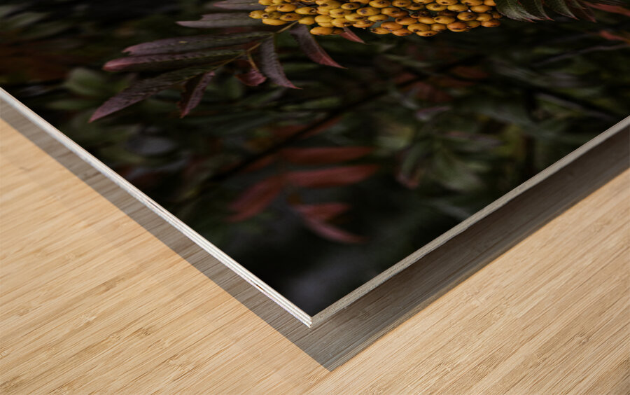 FLO 00453 Wood print