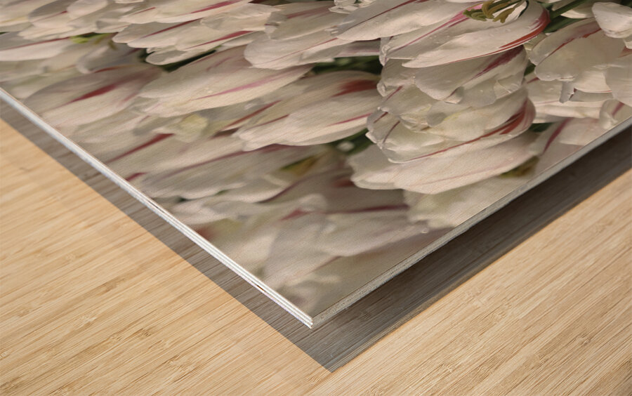 FLO 00438 Wood print