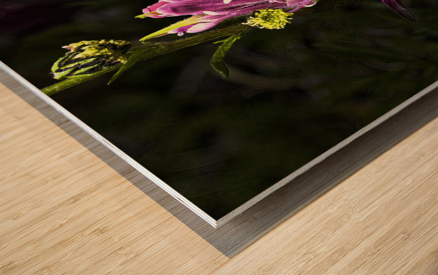 FLO 00475 Wood print
