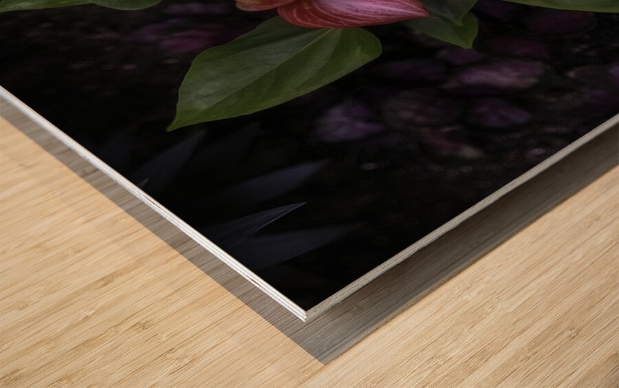 FLO 00546 Wood print