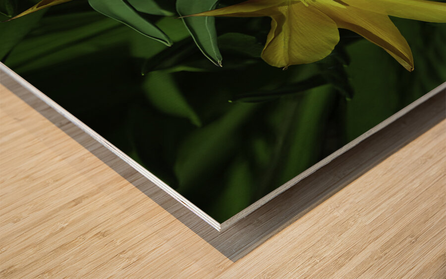 FLO 00515 Wood print