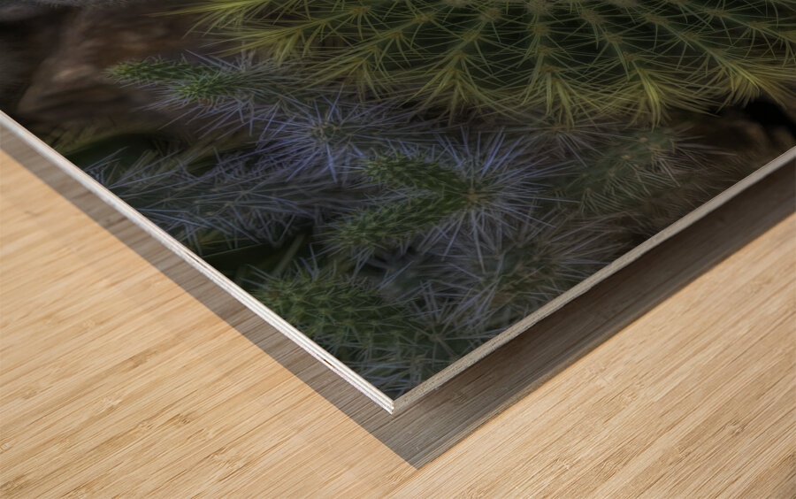FLO 00550 Wood print