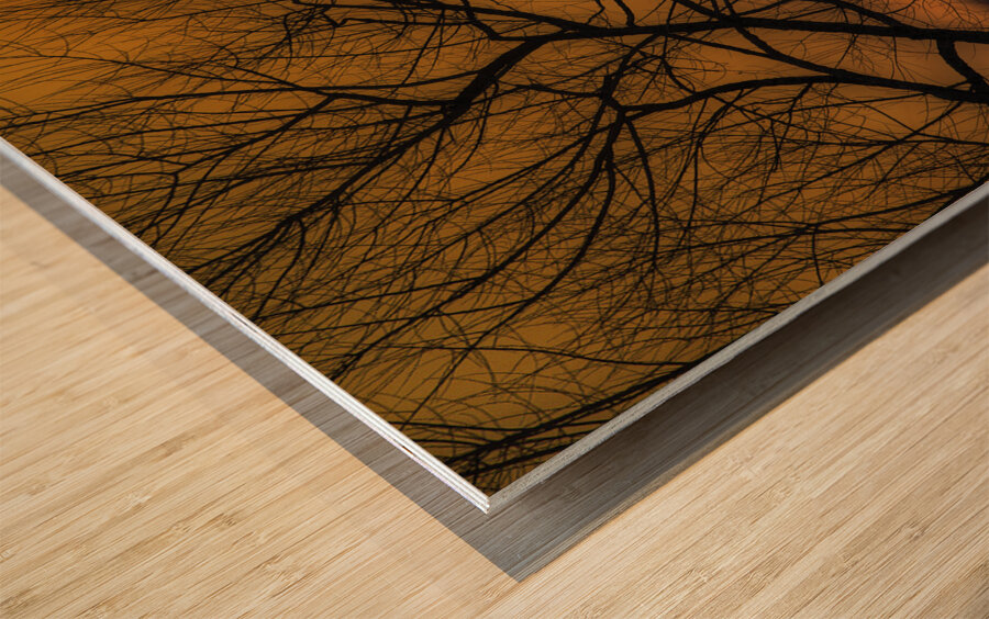 MIS 01068 Wood print