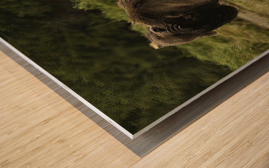 ACT 01390 Wood print