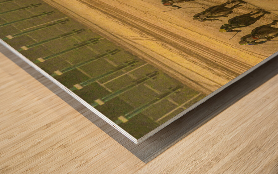 ACT 01392 Wood print