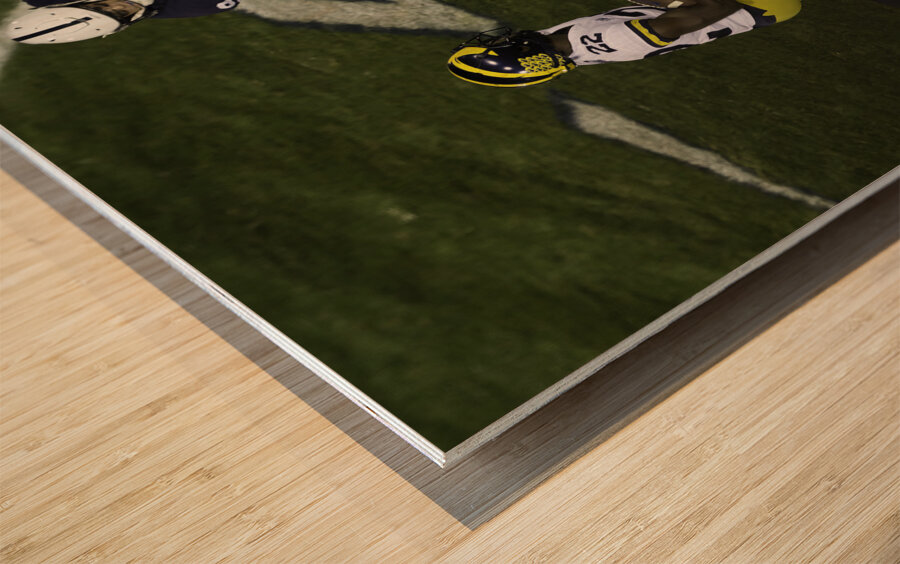 ACT 01380 Wood print