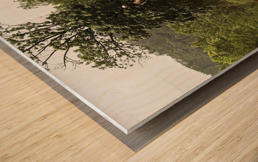 ACT 01407 Wood print