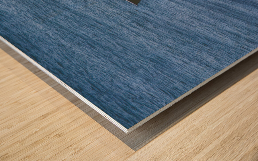 ACT 01681 Wood print