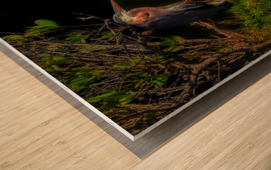 BIR 01718 Wood print