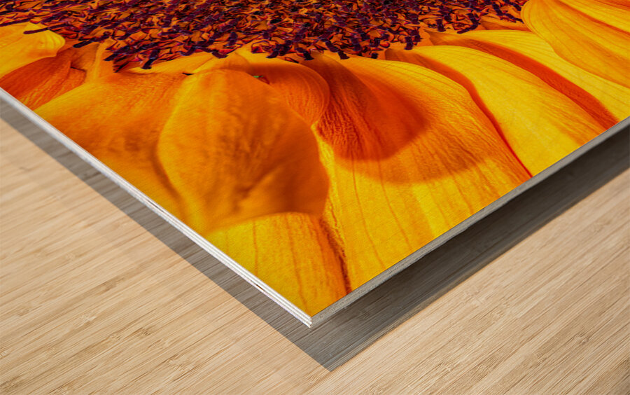 FLO 01764 Wood print