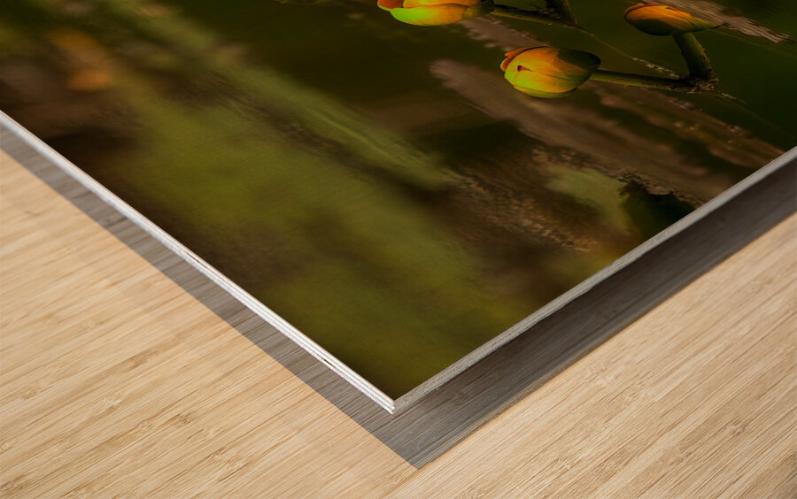 FLO 01759 Wood print