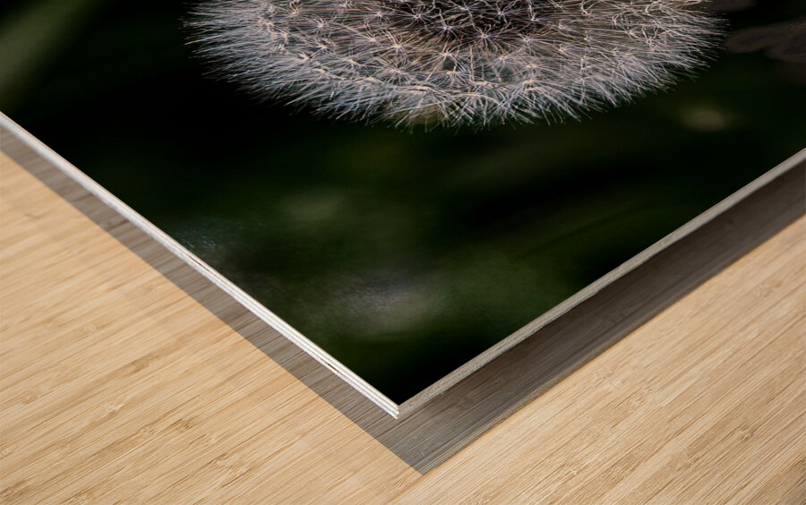 FLO 01805 Wood print