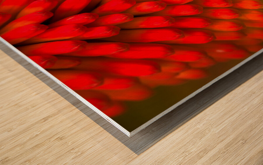 FLO 01822 Wood print