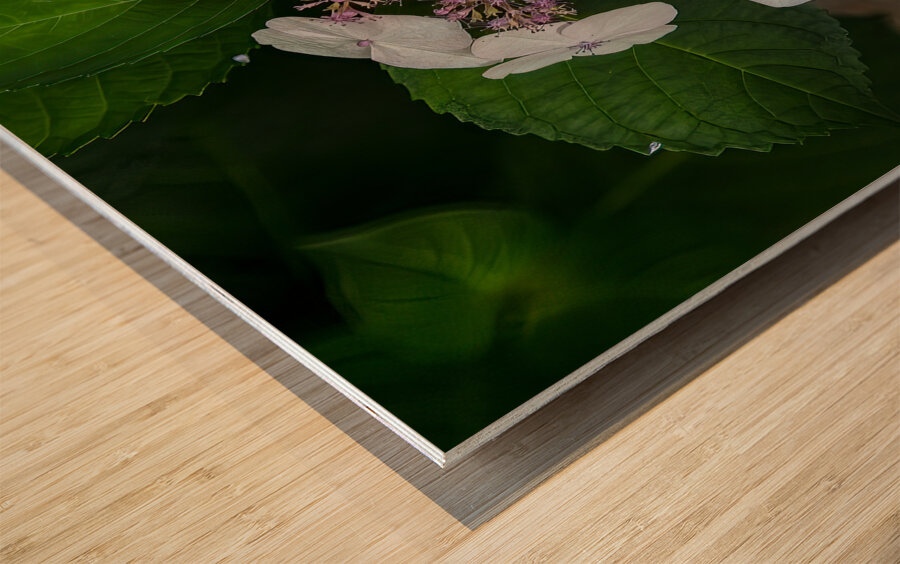 FLO 01773 Wood print