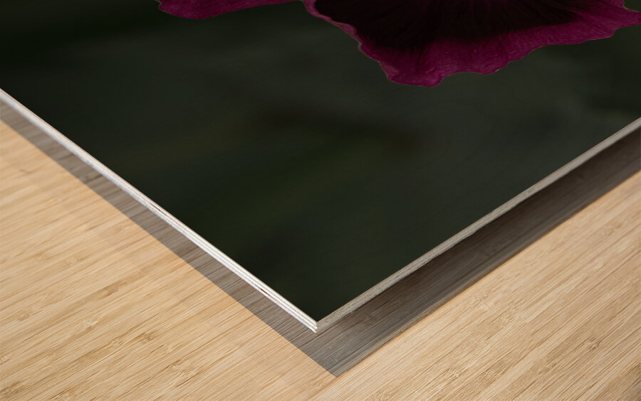 FLO 01799 Wood print