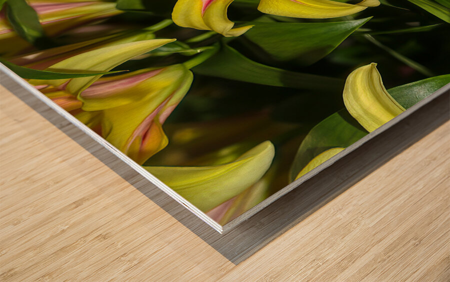 FLO 01809 Wood print