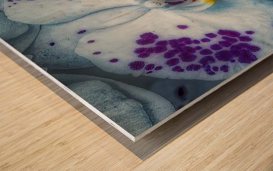 FLO 01813 Wood print