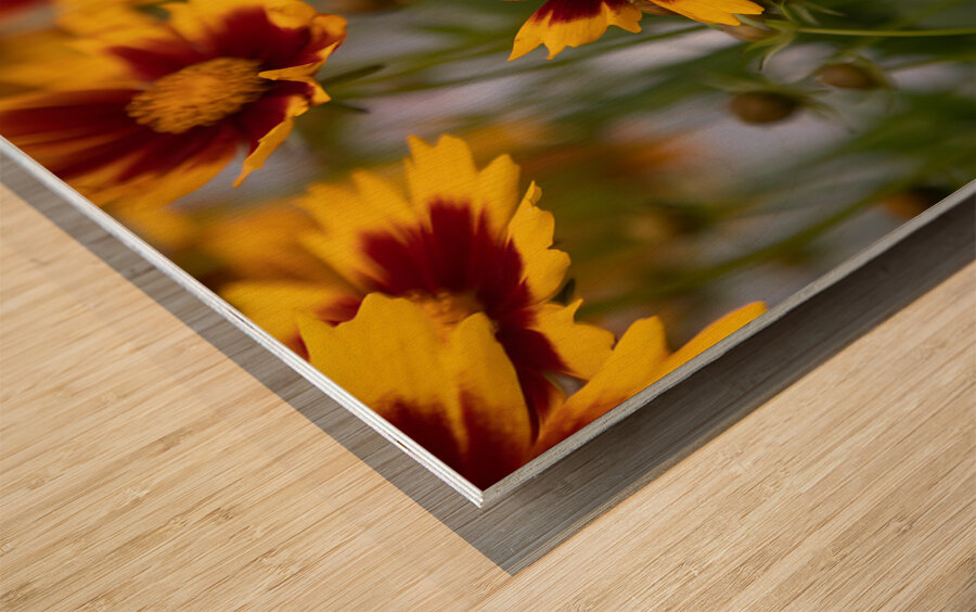 FLO 01801 Wood print