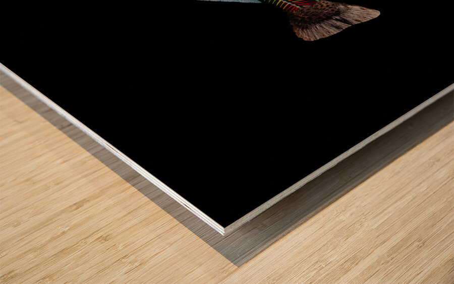 MIS 01901 Wood print