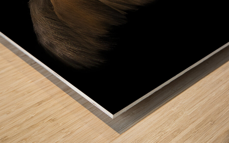 MIS 01903 Wood print