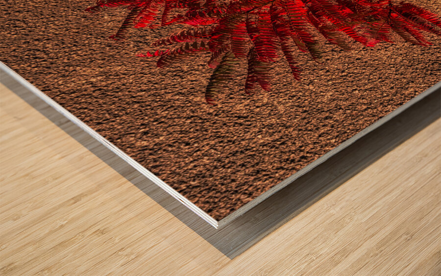 MIS 01920 Wood print