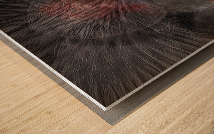 ABS 02011 Wood print