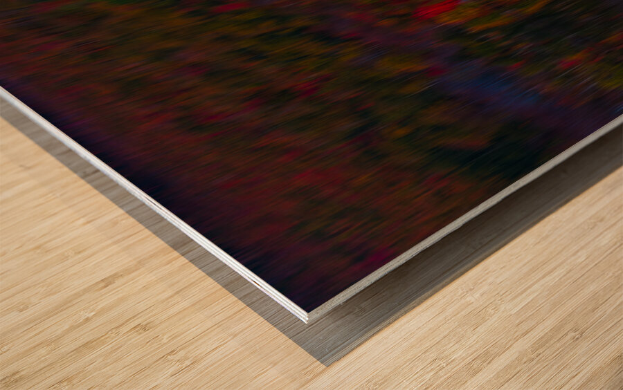 ABS 02022 Wood print