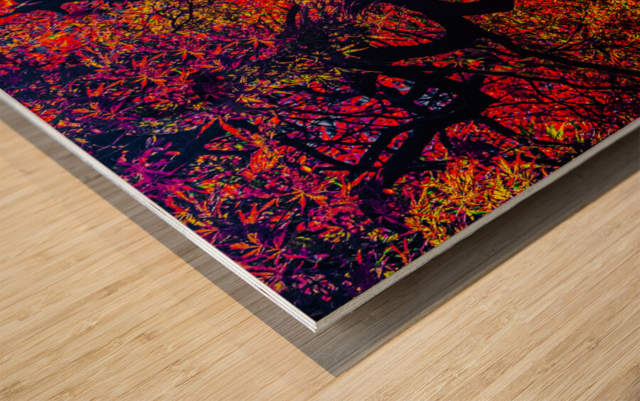 ABS 02014 Wood print