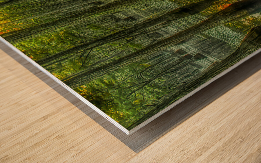 LAN 02090 Wood print